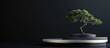 © AImmersive Imagery - Japanese cosmetic theme featuring a 3D abstract podium and bonsai tree set against a black background for product showcasing 3D rendered illustration