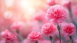Pink garden carnation flower Dianthus caryophylla Beautiful shot of carnation red dianthus flower stock images : Generative AI