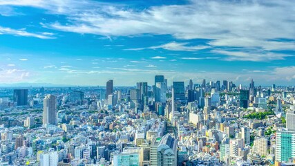 Wall Mural - 東京タイムラプス・渋谷や新宿を望む　2024