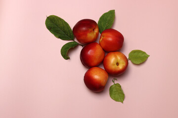 Canvas Print - Ripe nectarines on a pink background with copy space. Flat lay, top view of fresh fruit on a table. Healthy eating concept. 