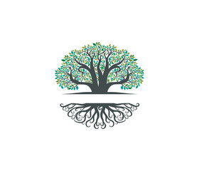 Wall Mural - Oak tree and roots logo templates with circular shape, oak tree with the gap between the tree and the root to fill in the writing.