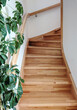 © Alena AV - Light wooden staircase go up in the house and the green vertical plant. White walls. Comfy house Vertical photo. Inside Scandinavian hybrid style