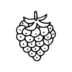 Raspberry doodle style, vector illustration