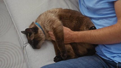 Wall Mural - A man gently strokes his siamese cat while relaxing on a couch at home, conveying domestic tranquility.