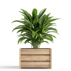 Poster - Planter Box Isolated