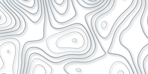 Wall Mural - Understanding the Interaction Between Topography and Topology in the Creation of Vector Maps and Their Influence on the Design of Complex Background Layers