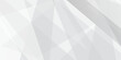 © Chip Kidd - Gray abstract gradient HD background with lines. white and grey background. Abstract pale geometric pattern. space design concept. Decorative web layout or poster, banner.  Vector illustration.