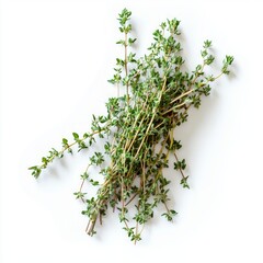 Wall Mural - Fresh thyme sprigs on a white background.