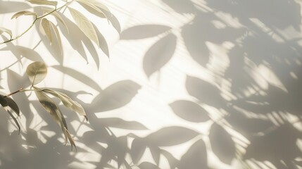 Canvas Print - surreal shadow of tropical leaves on white wall in morning sunlight