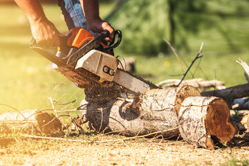 Chain saw in hands of man cutting large tree trunks outdoors while camping.