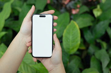 Close up image of hand holding mobile phone with blank screen over on green leaves. Calm and relaxation concept