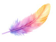 © khunnapat - Watercolor painting of a colorful feather isolated transparent background