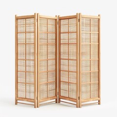 Wall Mural - folding screen room divider isolated 