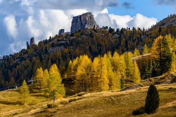 Canvas Print - cinque torre