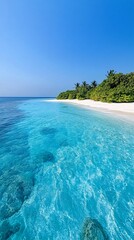 Wall Mural - A pristine white sand beach with turquoise water and a lush green tree line on a tropical island under a clear blue sky.