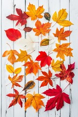 Wall Mural - The photo shows autumn leaves on a white wood background. Bright colorful leaves arranged in a line. The image is a concept about autumn.