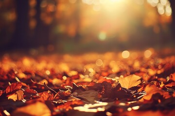 Wall Mural - Fall leaves background. Yellow maple leaf over a blurred texture. Golden autumn card concept.