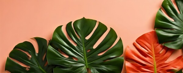 monster leaves on pink background