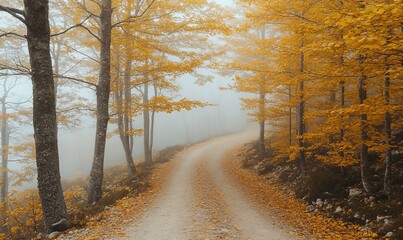 Wall Mural - A turning alley in an autumn park, spots of light, and sun rays illuminating golden foliage. Stock illustration.