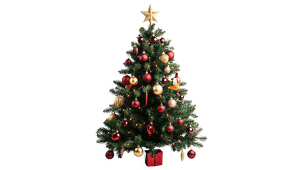 christmas tree on a transparent white background