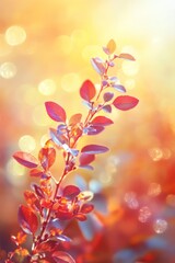 Wall Mural - background with bokeh and vignette border in the fall season. ai generated.