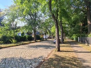 Bürgersteig, eine Strasse und Bäume in Eichwalde, Brandenburg