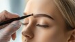 © fotofabrika - A professional applies makeup to enhance the eyebrows of a model during a beauty session at a salon in daylight hours