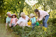 © Iuliia Versta/Stocksy - happy grandparents and granddaughters seeding flowers at summer garden