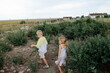 © Anna Artemenko/Stocksy - brother and sister walking on the farm