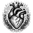 © Oleksandr Pokusai - anatomical heart with floral ornaments, tattoo, Valentines day card theme, sketch engraving generative ai PNG illustration. Scratch board imitation. Black and white image.