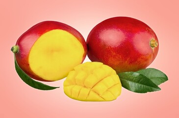 Tasty fresh ripe Mango fruit