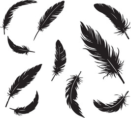 crow feathers silhouette vector art illustration