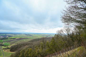 panoramic view from the terroir f handthal viewing platform of the surrounding vineyards, countrysid