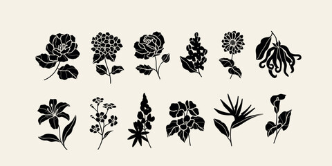 Wall Mural - Flat vector camellia, hydrangea, rose, lilacs, zinnia, ylang-ylang, lily, forget-me-not, lupine, begonia, strelitzia, calla lily