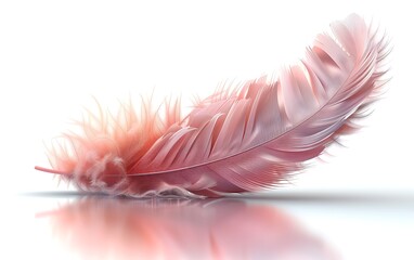 Canvas Print - A single pink feather lies on a white surface, casting a soft reflection.