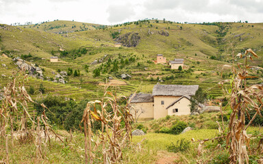 Typical Madagascar landscape - green and yellow rice terrace fields on small hills with clay houses in region near Mahatsanda