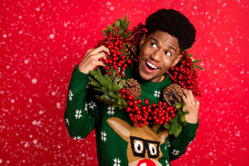 Wall Mural - Photo of cheerful curious guy hold mistletoe wreath look empty space wear x-mas jumper isolated on red background