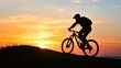 © Damerfie - Mountain Biker at Sunset