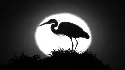 Canvas Print -   Black-and-white picture of a bird perched atop a hill against a full moon backdrop