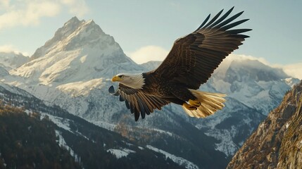 Sticker -   An eagle soaring above snow-capped mountains against a backdrop of towering peaks