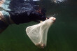 © Alison Winterroth/Stocksy - Man holds mesh bag of scallops as he swims