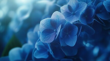 Wall Mural -   A close-up of several blue flowers centered in a photo with a blurry backdrop