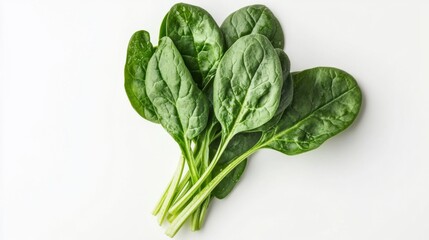 Sticker - Fresh Spinach Leaves on White Background