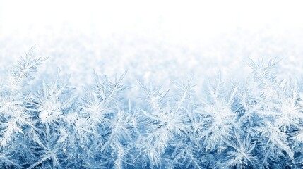 Frosty ice border background