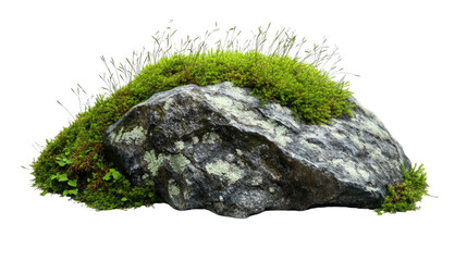 rock with moss on transparent white background