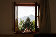 © Alba Vitta/Stocksy - Window with kittens