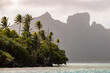 © Mat Hayward - Tropical palm trees on the island of Bora Bora. Popular tourist attraction Mount Otemanu can be seen in the background.