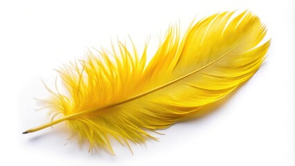 Yellow feather isolated on white background, minimalist design