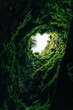 © Marcos Osorio/Stocksy - View upward through a volcanic tube surrounded by foliage