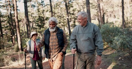 Wall Mural - Senior friends, group and trail for hiking in forest, talk and steps for progress, happy or outdoor in nature. Mature people, chat and diversity with fitness, adventure and support for walk in Italy